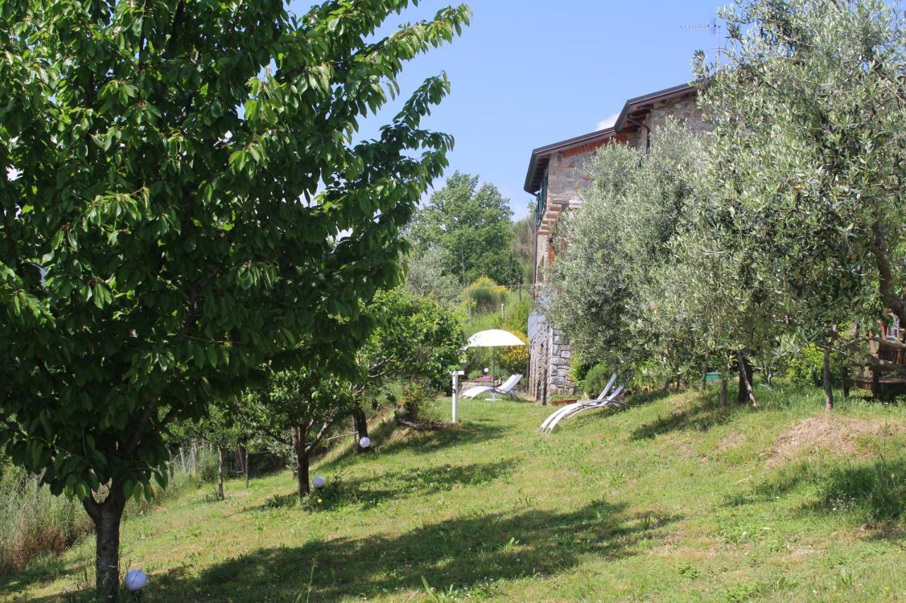 Agriturismo Angio Nel Cere Bed & Breakfast Bracelli Exterior photo