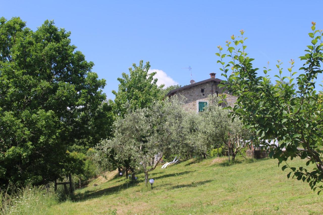 Agriturismo Angio Nel Cere Bed & Breakfast Bracelli Exterior photo