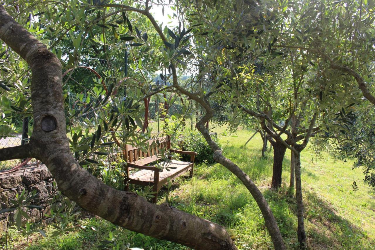 Agriturismo Angio Nel Cere Bed & Breakfast Bracelli Exterior photo