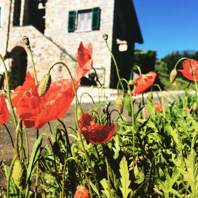 Agriturismo Angio Nel Cere Bed & Breakfast Bracelli Exterior photo