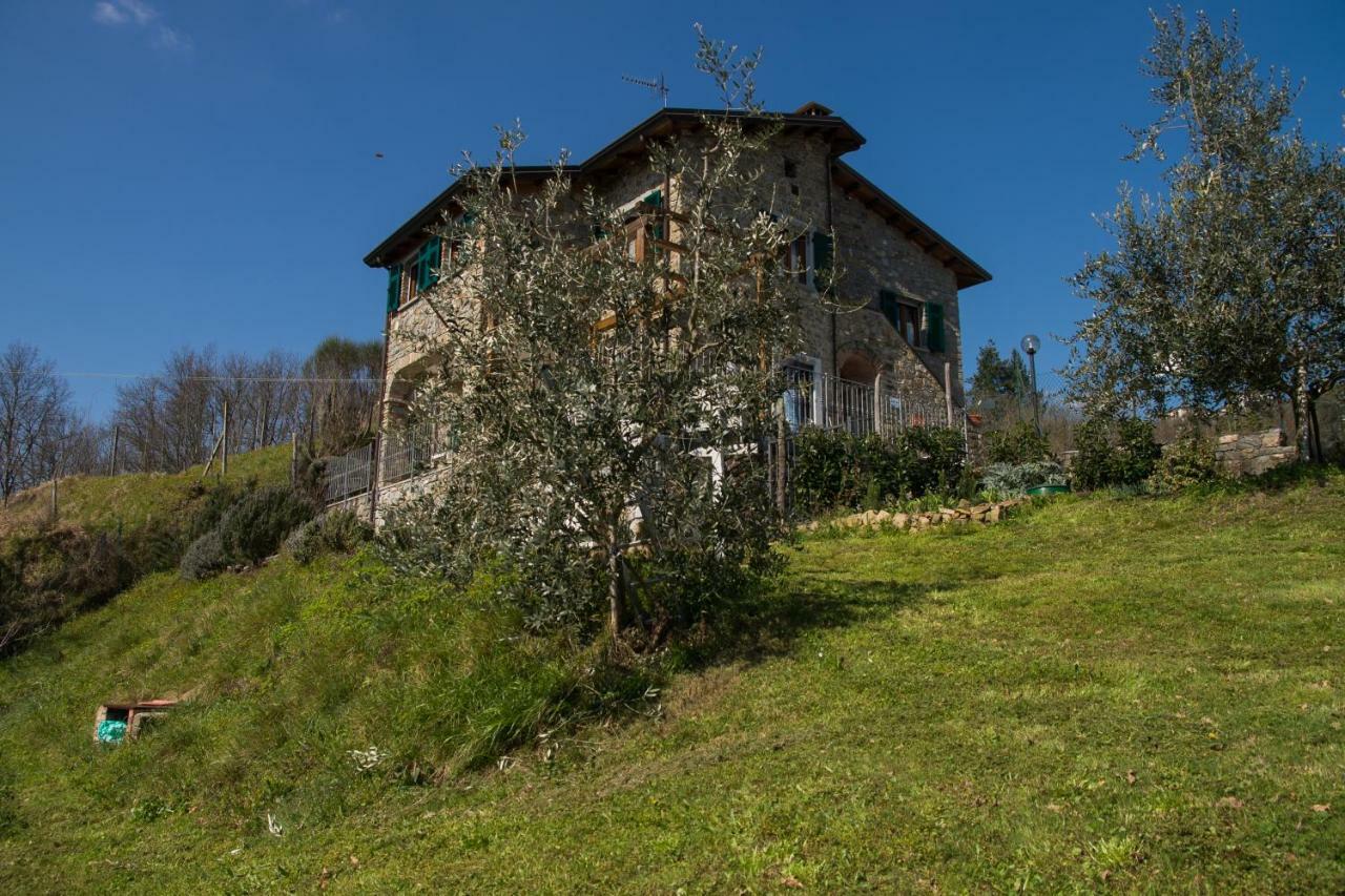 Agriturismo Angio Nel Cere Bed & Breakfast Bracelli Exterior photo