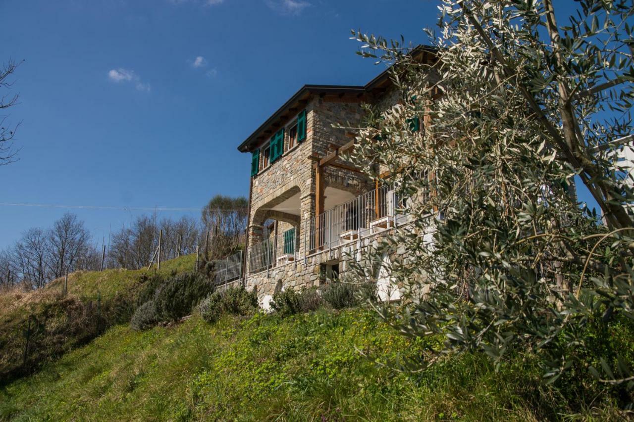 Agriturismo Angio Nel Cere Bed & Breakfast Bracelli Exterior photo