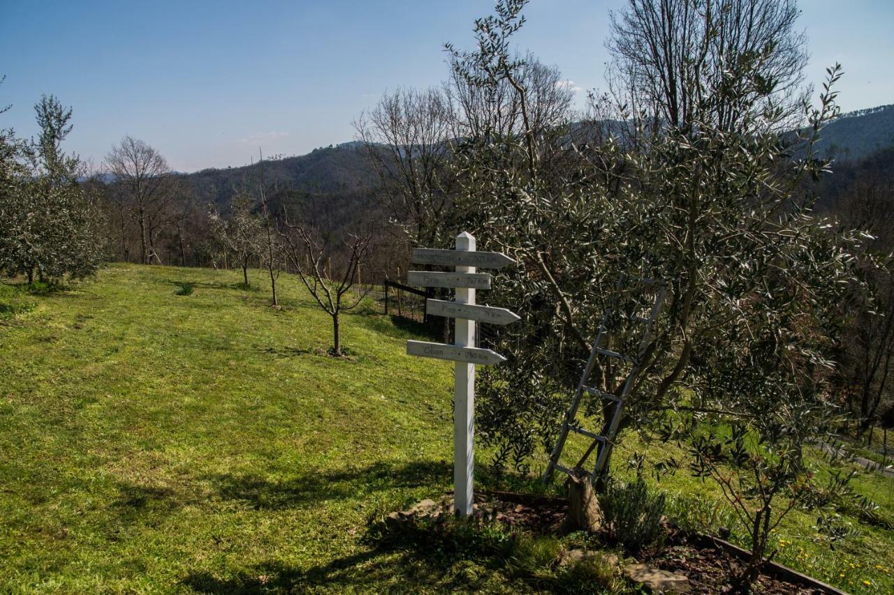 Agriturismo Angio Nel Cere Bed & Breakfast Bracelli Exterior photo